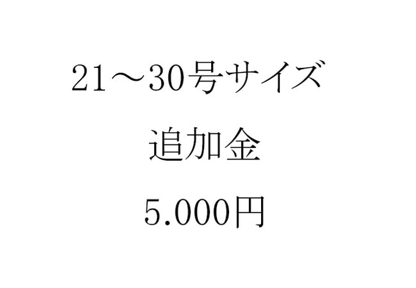 【受注制作用】21～30号サイズの5000円追加金 1枚目の画像