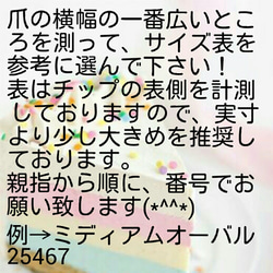 ぺたんこ♡スイカ柄ネイルチップ 4枚目の画像