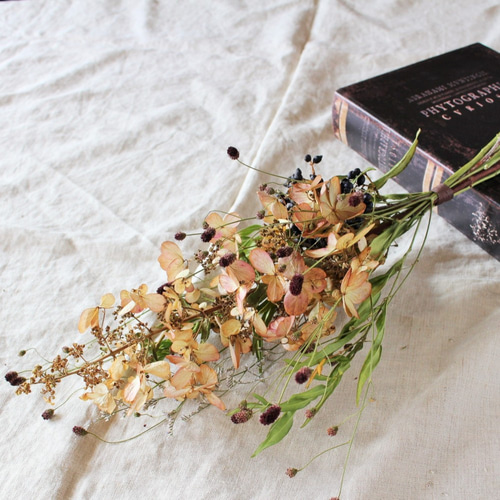 ❍ラッピング無料❍ミナヅキとワレモコウのスワッグ☆ドライフラワー