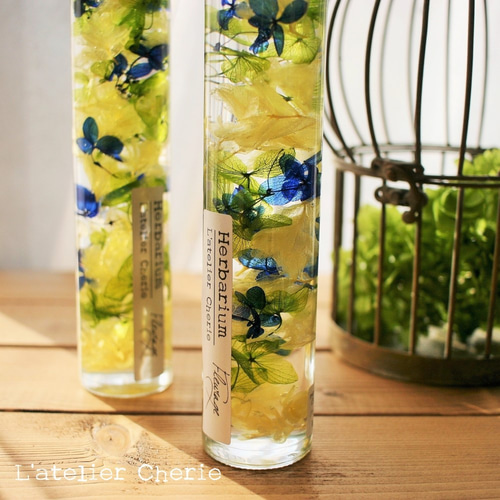 ハーバリウム・フロラージュ☆北欧の森 ハーバリウム・植物標本 L