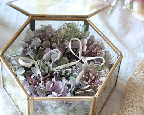 0_48119e15e49312c84440df9d0a12