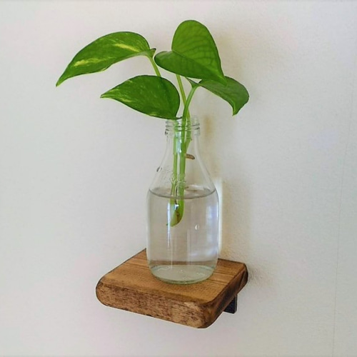 本格アイアンウッドのウォールシェルフ 本格アイアンウッドのウォールシェルフ 本格アイアンウッドの