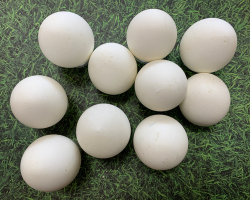 0_221350b1fc6131f3a794222f606f