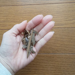 7回目の再販です！　ふんわり柔らかい　リネンガーゼストール　草木染め　びわ染＊大判　麻 10枚目の画像