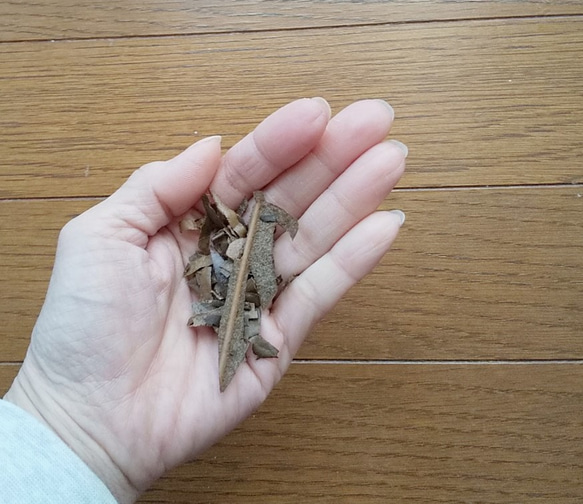 7回目の再販です！　ふんわり柔らかい　リネンガーゼストール　草木染め　びわ染＊大判　麻 10枚目の画像