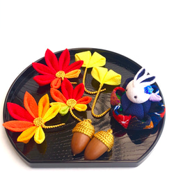 月見 うさぎ 十五夜 すすき ススキ 桔梗 ききょう 秋 ちりめん