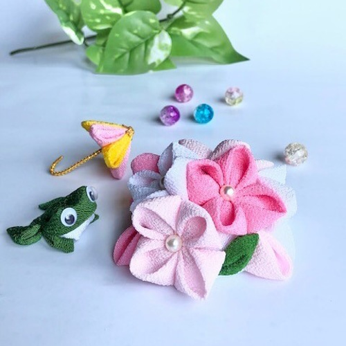 ① ピンク系 梅雨の晴れ間に あじさいとカエル 季節のお花 雨の日