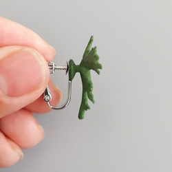 Pelargo耳環耳環綠色 第6張的照片