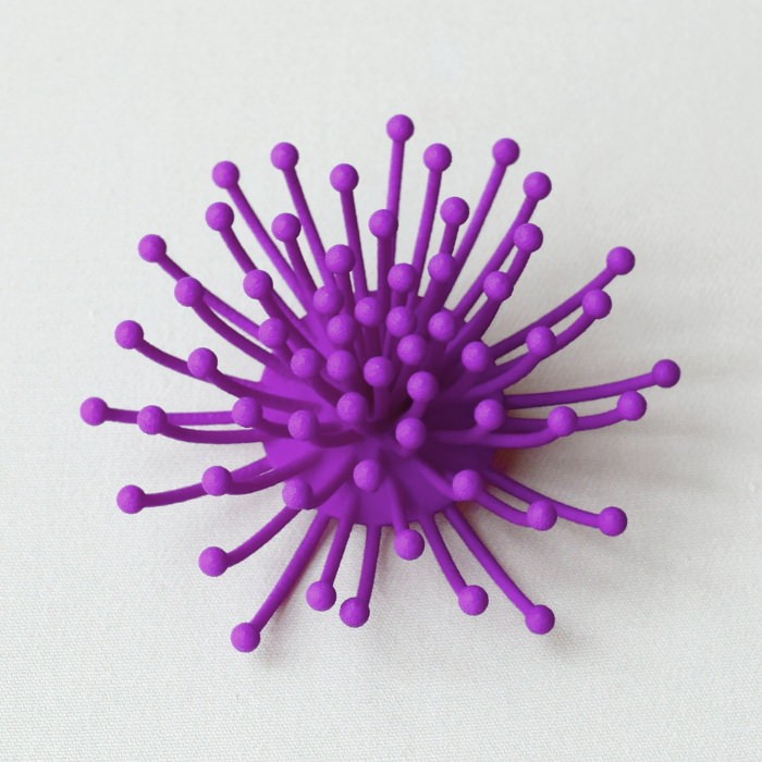 ミモサ　ムラサキ