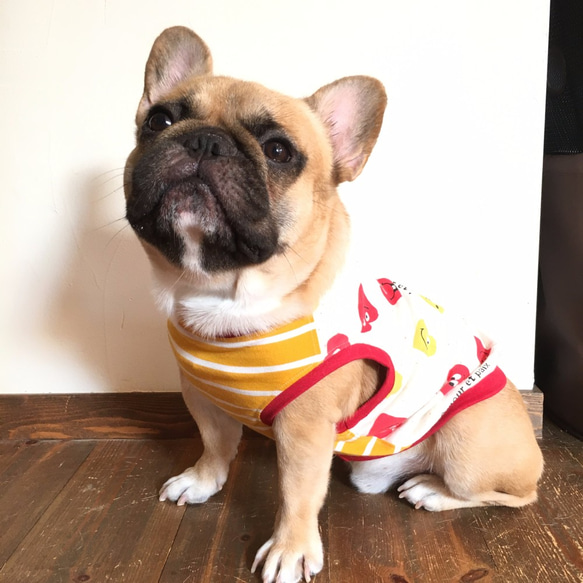 オーダー可・お色違いあり＊ハンドメイド犬服＊ハート♡起毛リブニット