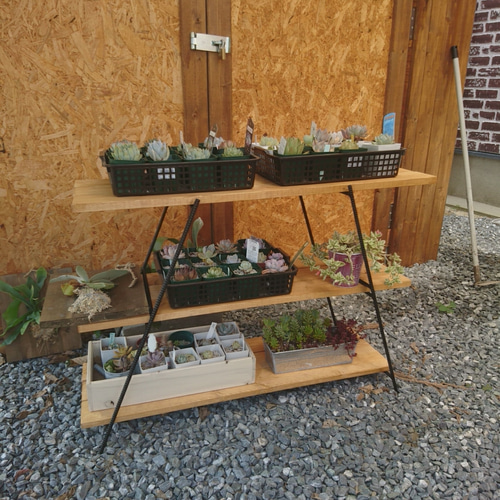 900 アイアンラック アイアンレッグ アイアンシェルフ ガーデニング 多肉 楽天市場】アイアン シェルフ 1段 ワイド 植物棚 幅600*高さ100