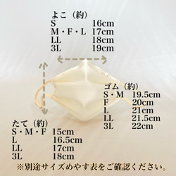 最高品質　シルクマスク　爽やか＆色白　水色シルク■2枚　入■冷感　不織布　大人〜子ども用マスク　マスクカバー一体型 8枚目の画像