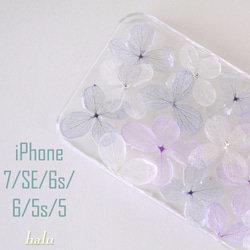 押し花iPhoneケース/プリザーブドフラワー/紫陽花（あじさい） 3枚目の画像