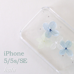 押し花iPhoneケース/プリザーブドフラワー/紫陽花（あじさい） 3枚目の画像