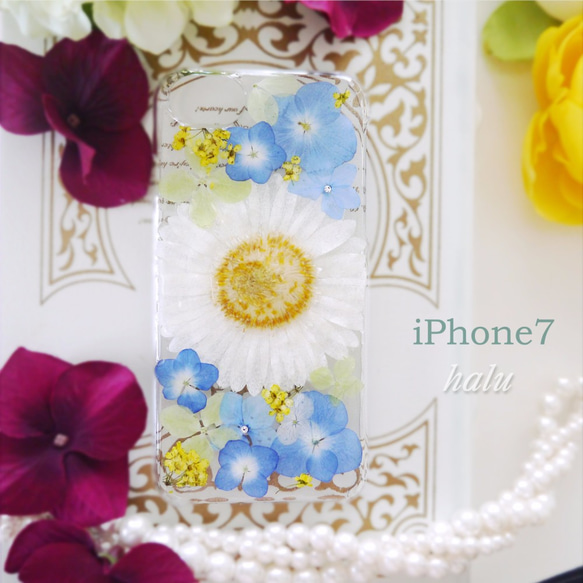 押し花iPhoneケース/ガーベラ＆紫陽花 3枚目の画像