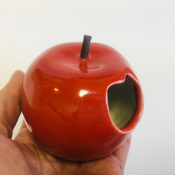 かじられたリンゴ 3枚目の画像