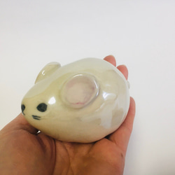 Zodiac Mouse 2020 Lustreware 第5張的照片