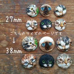 マグネット 【6個セット＊38㎜】＊cat face⑤＊ 猫 ねこ ネコ 磁石 アニマル 動物 リアル フェイス 2枚目の画像
