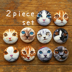 ★選べる*cat face⑦*27㎜マグネット2個セット 1枚目の画像