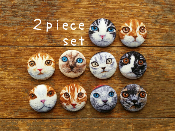 ★選べる*cat face⑦*27㎜マグネット2個セット 1枚目の画像