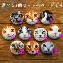 ★選べる*cat face⑦*27㎜マグネット2個セット 2枚目の画像