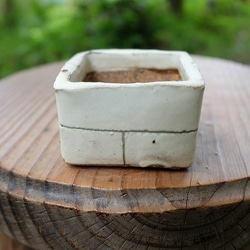 mini-pot 植木鉢-G 3枚目の画像