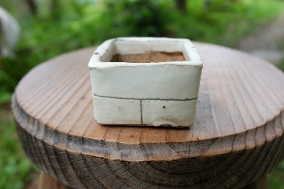mini-pot 植木鉢-G 3枚目の画像