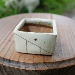 mini-pot 植木鉢-H 5枚目の画像