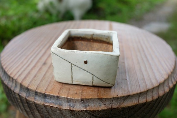 mini-pot 植木鉢-H 5枚目の画像