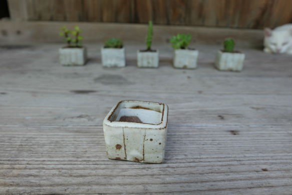mini-pot 植木鉢 2枚目の画像