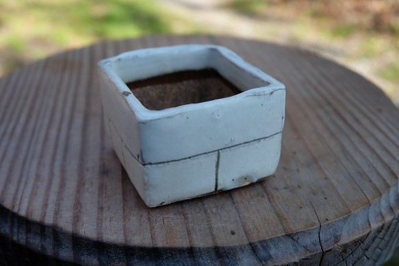 mini-pot 植木鉢-A 4枚目の画像