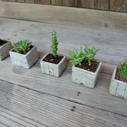 mini-pot 植木鉢-A 5枚目の画像