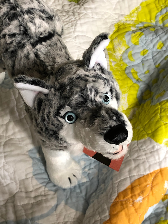 オオカミ立ち型リアル ぬいぐるみ アトリエ・メサージュ 通販