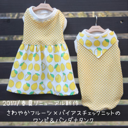 1JU0　紫色のちゃんちゃんこと帽子　5セット　ハンドメイド 楽天市場】「日本製 本格高級ちゃんちゃんこセット 紫」 長寿