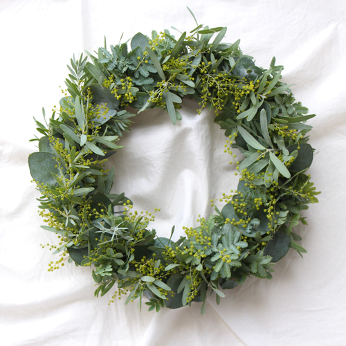 ミモザのつぼみとユーカリのリース ドライフラワー amijus 通販