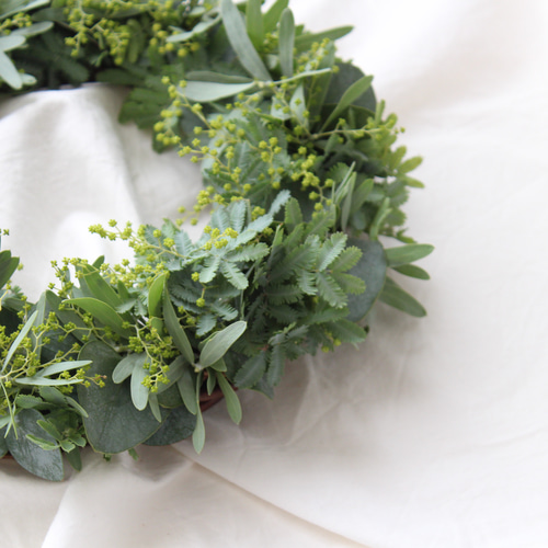 ミモザのつぼみとユーカリのリース ドライフラワー amijus 通販