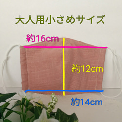 ゴムひもが調節できる☆送料込　フィルターポケット付　不織布シート入　和柄　立体マスク　ガーゼマスク 3枚目の画像