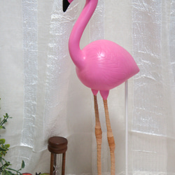 Flamingo 5枚目の画像