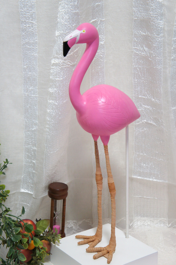 Flamingo 5枚目の画像