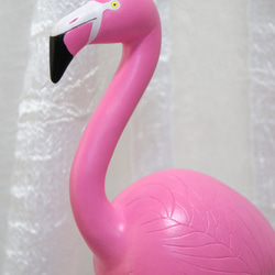 Flamingo 6枚目の画像