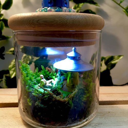鉱石と未確認生物 テラリウム moss craftsman 通販 2347100