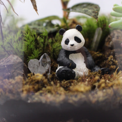 キラキラ植物とパンダの庭 2枚目の画像