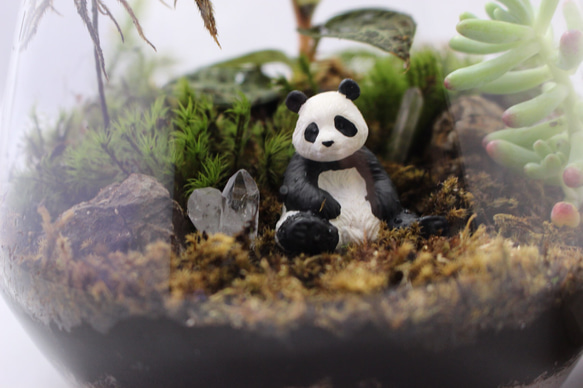 キラキラ植物とパンダの庭 2枚目の画像