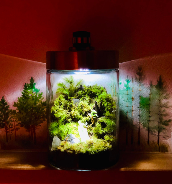 【苔テラリウム】鉱石と静かな夜  LED付き木蓋バージョン（L size） 1枚目の画像