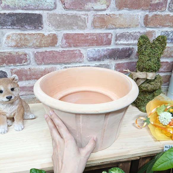 テラコッタ　植木鉢　素焼き鉢　プランター　植物　観葉植物 4枚目の画像