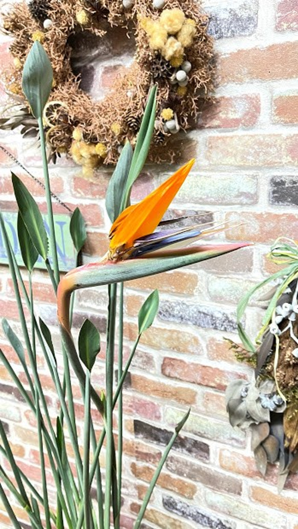 安い購入 希少 植物＆グリーン雑貨 アートフラワー 極楽鳥花 ストレリチア トップス