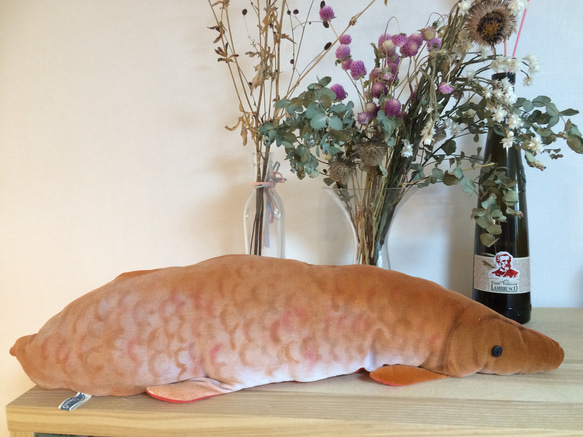 オーストラリア肺魚（ネオケラトドゥス フォルステリ）のぬいぐるみ