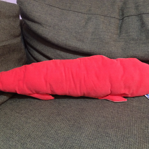 オーストラリア肺魚（ネオケラトドゥス フォルステリ）の