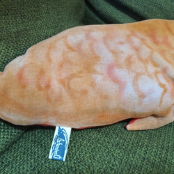オーストラリア肺魚（ネオケラトドゥス フォルステリ）のぬいぐるみ 4枚目の画像