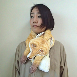 ネオケラトドゥス　ぬいぐるみ こんばんは アクアコーナーからお知らせです🎺 今年もやってき